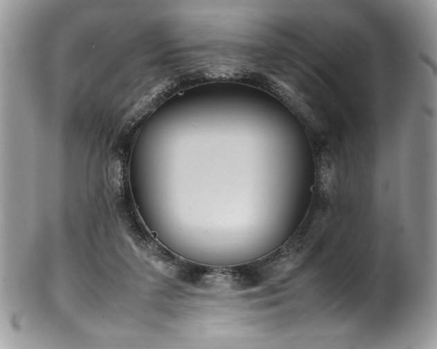 X0000100340211200806051546