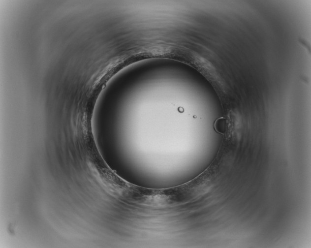 X0000100340212200806051546