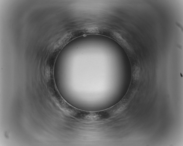 X0000100340213200806051546