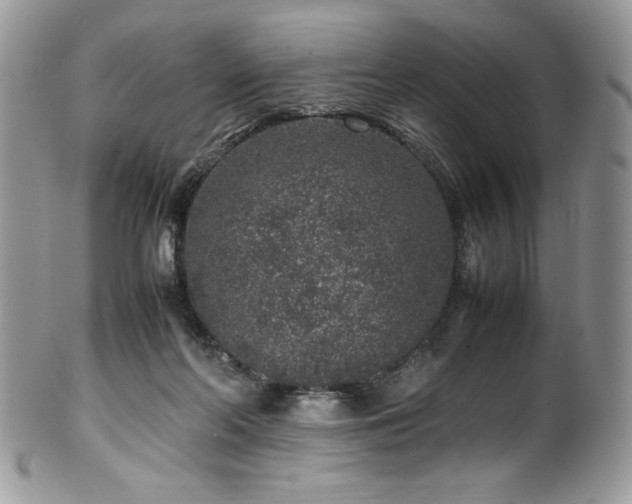 X0000100340214200806051546
