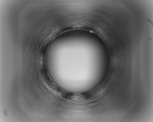X0000100340215200806051546