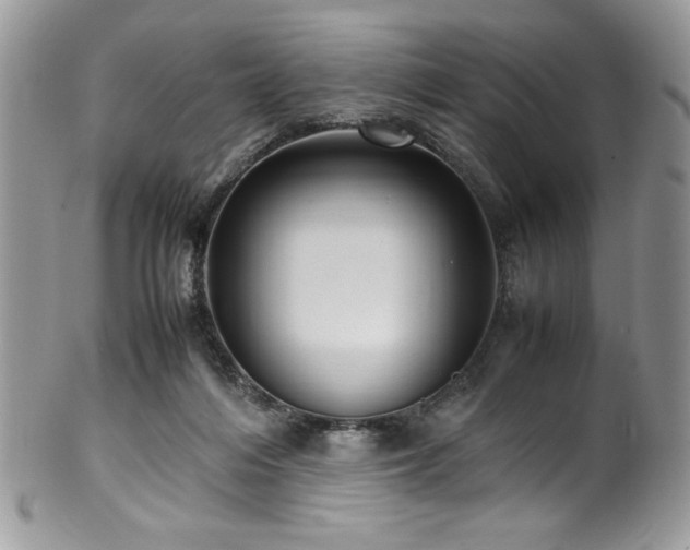 X0000100340216200806051546