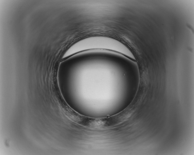 X0000100340217200806051546