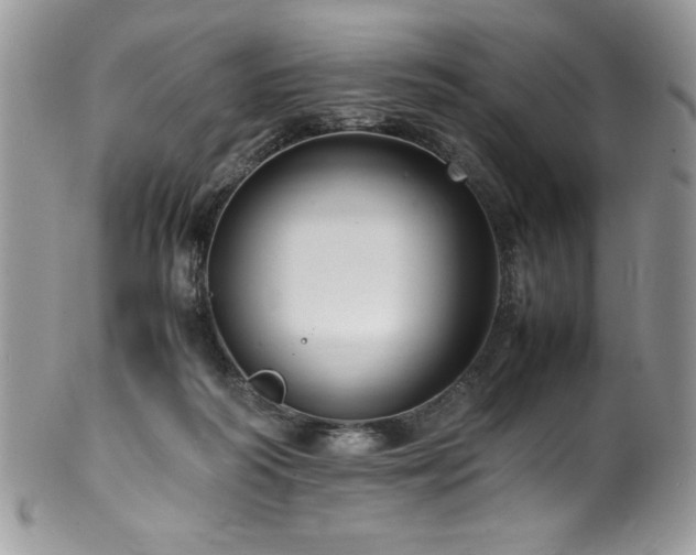 X0000100340218200806051546