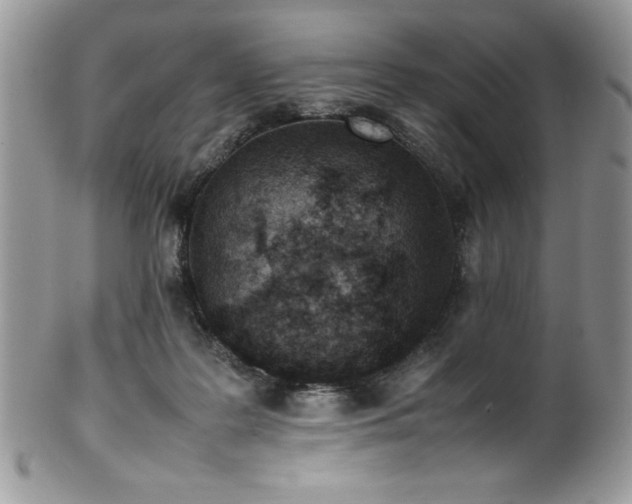 X0000100340219200806051546