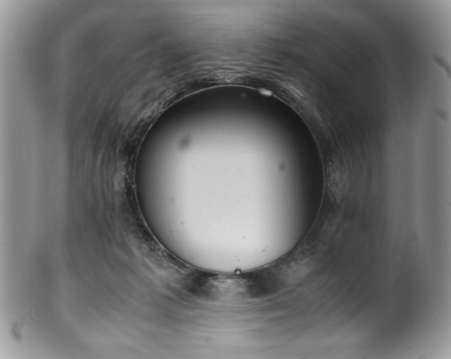 X0000100340221200806051546