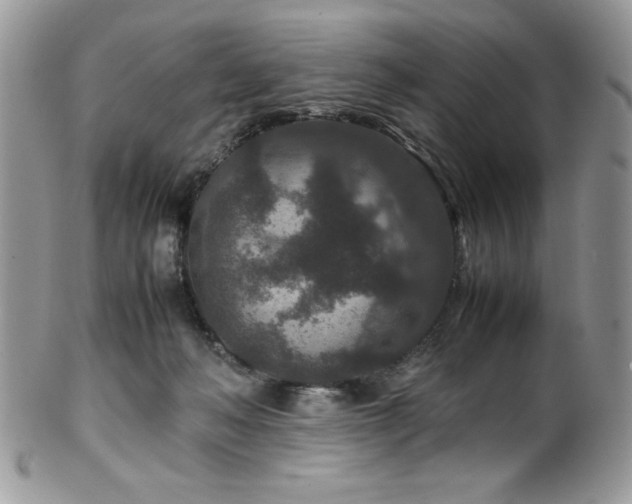 X0000100340222200806051546