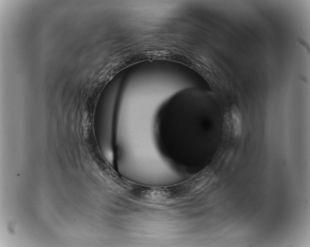 X0000100340223200806051546