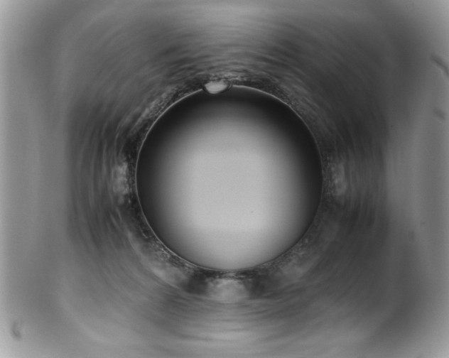 X0000100340224200806051546