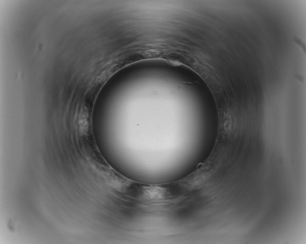 X0000100340226200806051546