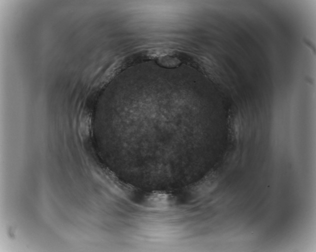 X0000100340227200806051546