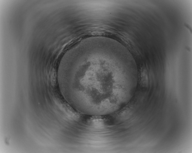 X0000100340228200806051546