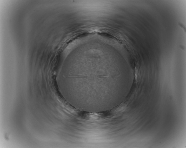 X0000100340229200806051546