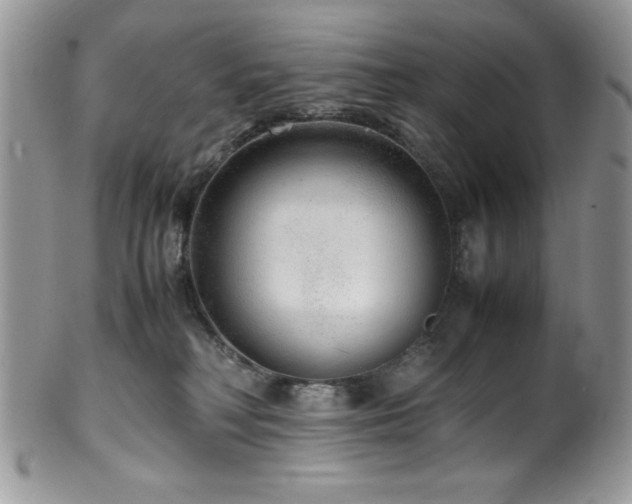 X0000100340230200806051546