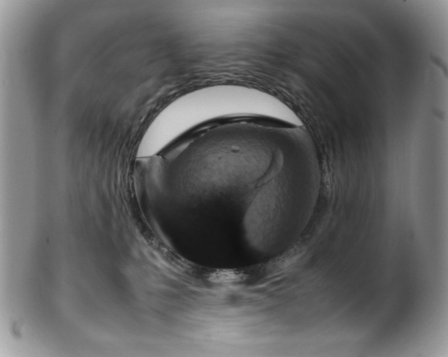 X0000100340231200806051546