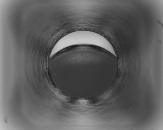 X0000100340233200806051546