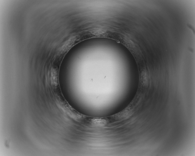 X0000100340234200806051546