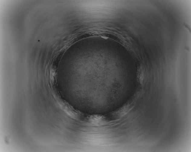 X0000100340235200806051546