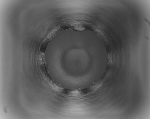 X0000100340237200806051546