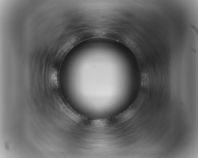 X0000100340238200806051546