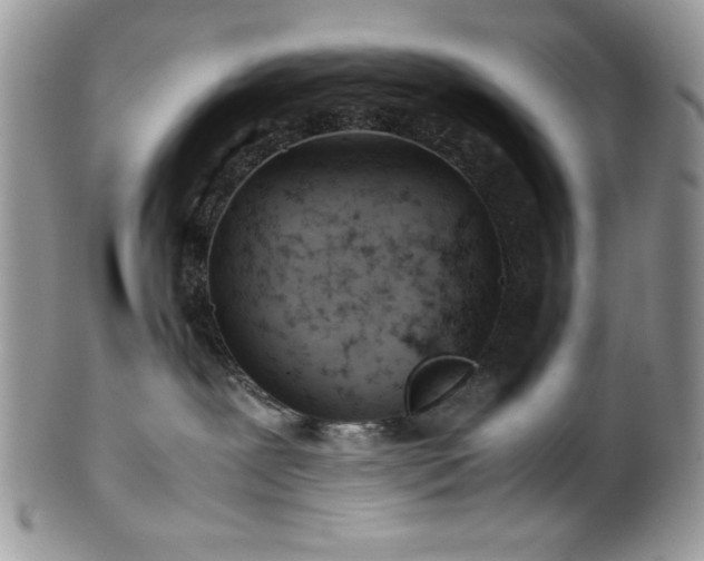 X0000100340239200806051546