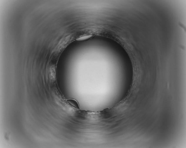 X0000100340240200806051546