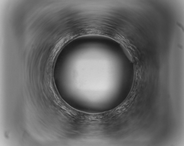 X0000100340241200806051545