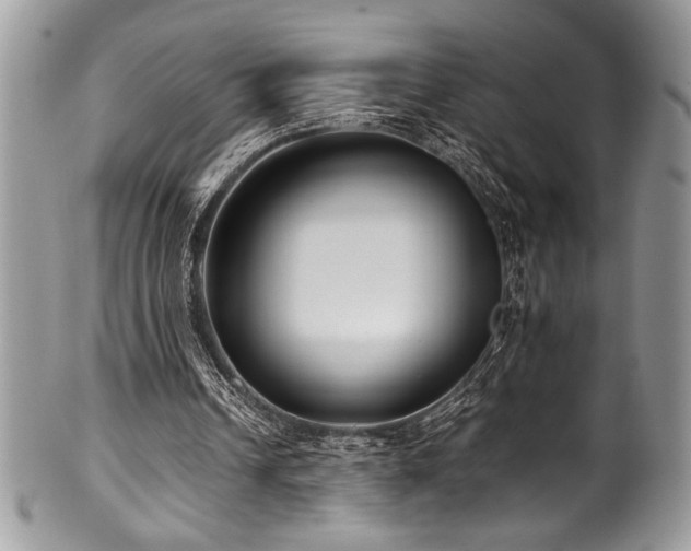 X0000100340242200806051545