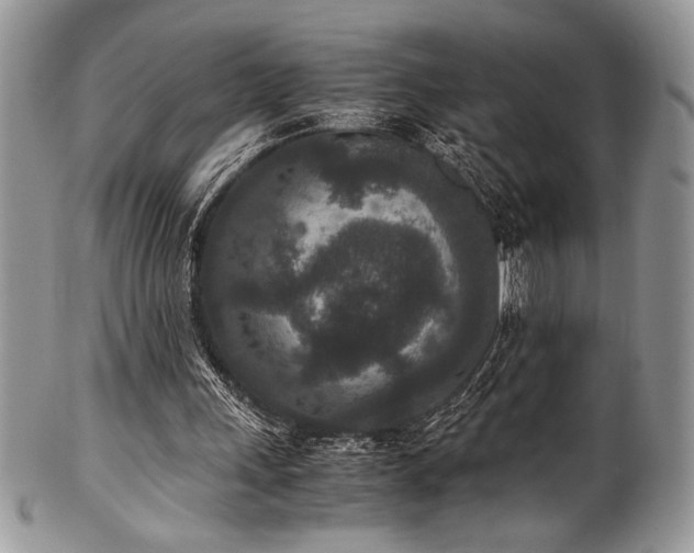 X0000100340243200806051545