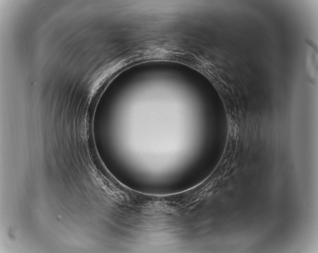 X0000100340244200806051545