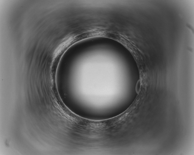 X0000100340245200806051545