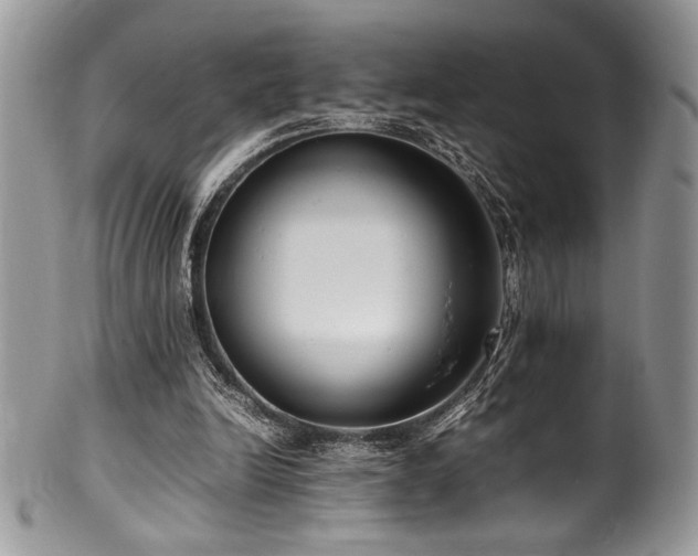 X0000100340246200806051545