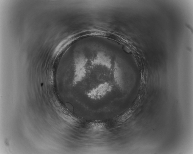 X0000100340247200806051545