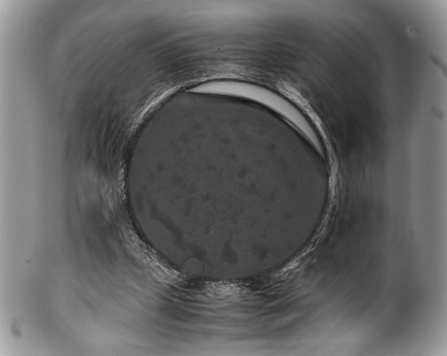 X0000100340249200806051545