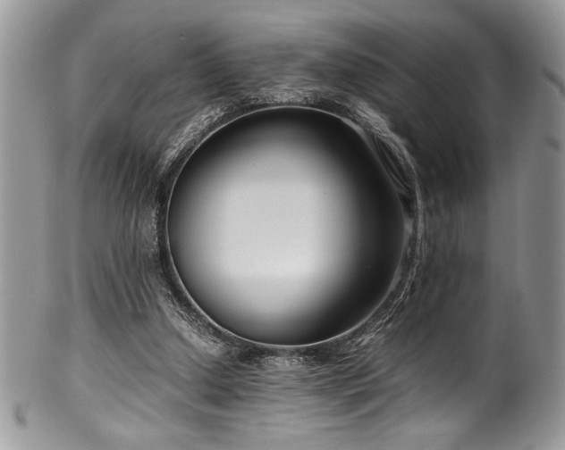 X0000100340250200806051545