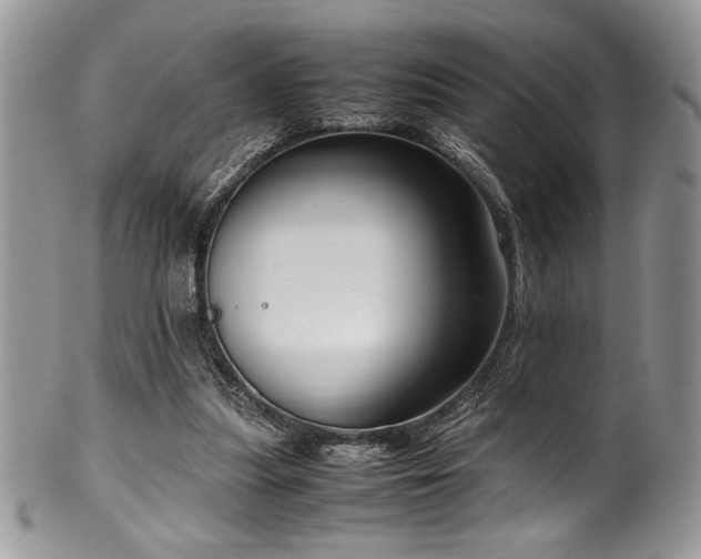X0000100340251200806051545