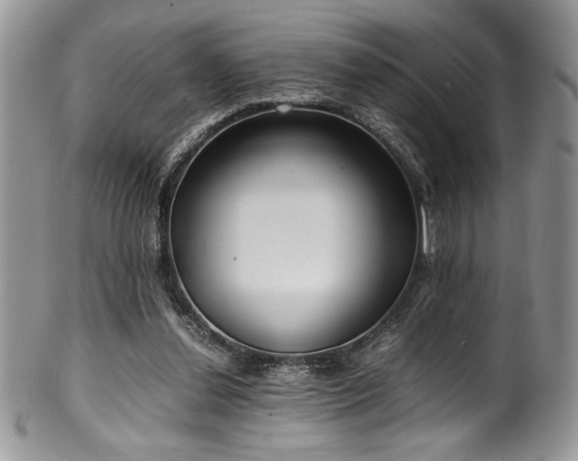 X0000100340252200806051545