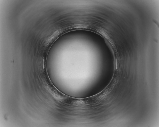 X0000100340253200806051545