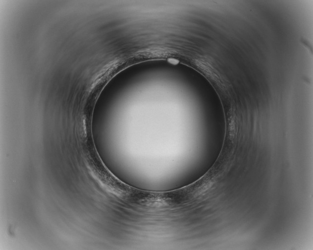 X0000100340254200806051545