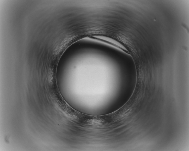 X0000100340255200806051545