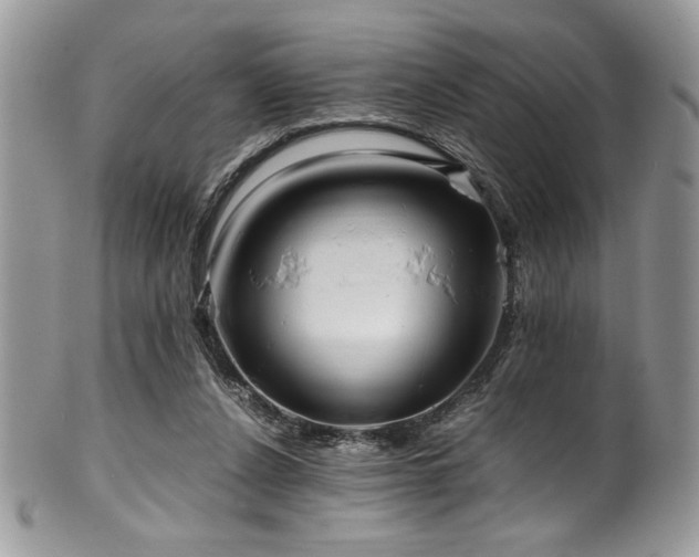 X0000100340256200806051545