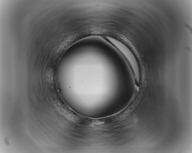X0000100340257200806051545