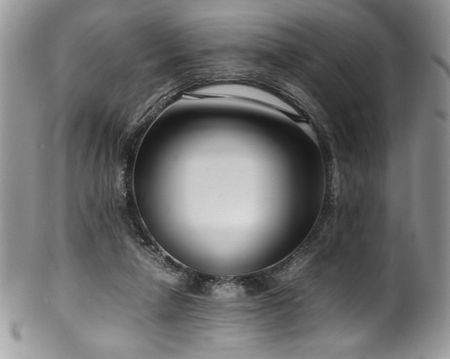X0000100340258200806051545