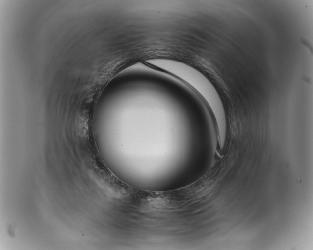 X0000100340259200806051545