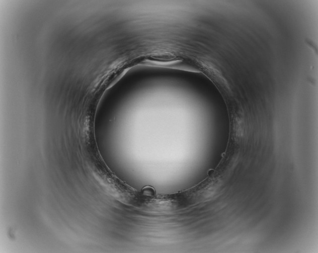 X0000100340260200806051545