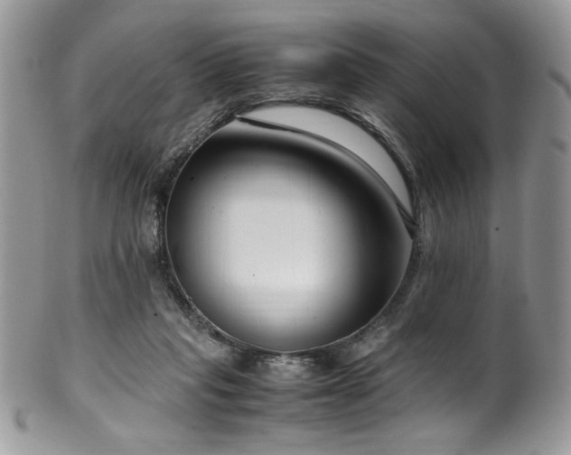 X0000100340261200806051545