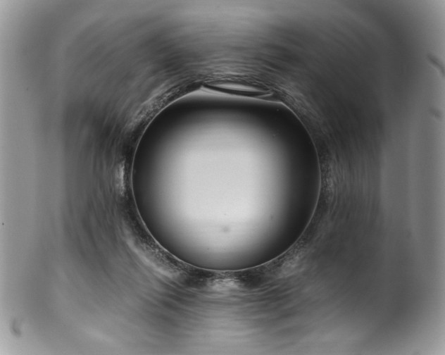 X0000100340262200806051545