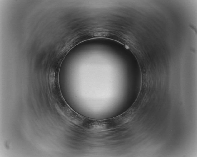 X0000100340263200806051545