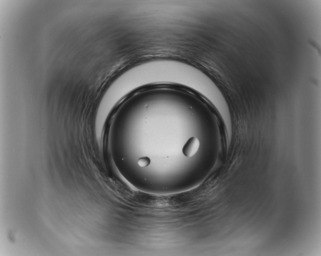 X0000100340264200806051545