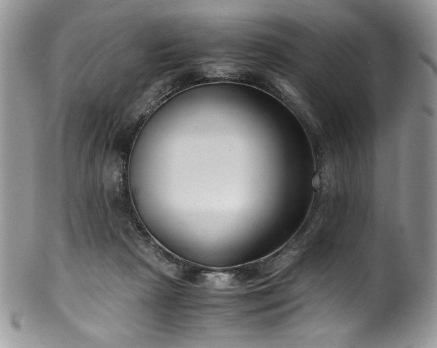 X0000100340265200806051545